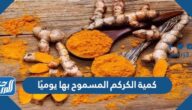 كمية الكركم المسموح بها يوميًا وفوائده المختلفة للجسم