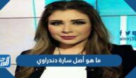 ما هو أصل سارة دندراوي