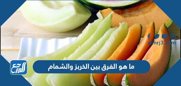 ما هو الفرق بين الخربز والشمام