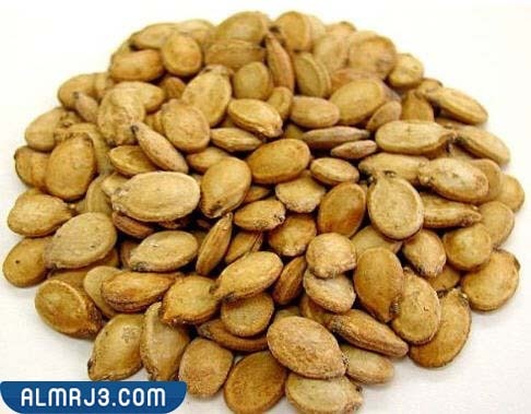 ما هو الفصفص 