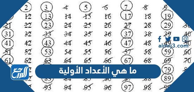ما هي الأعداد الأولية