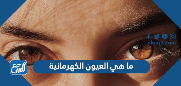 ما هي العيون الكهرمانية