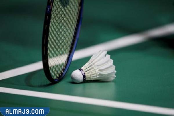 ما هي رياضة الريشة الطائرة