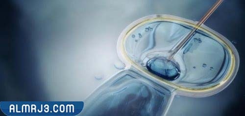 ماذا يحدث خامس يوم السحب