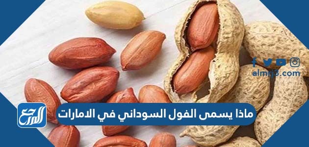 ماذا يسمى الفول السوداني في الامارات