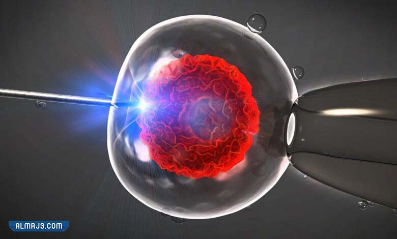 متى تخرج البويضة بعد الإبرة التفجيرية