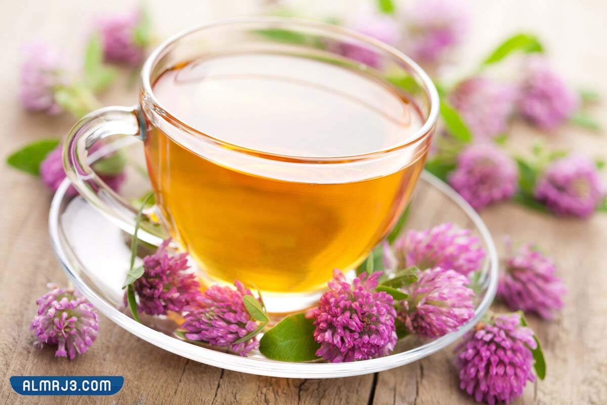 فوائد شرب نباتات الزهورات للجسم