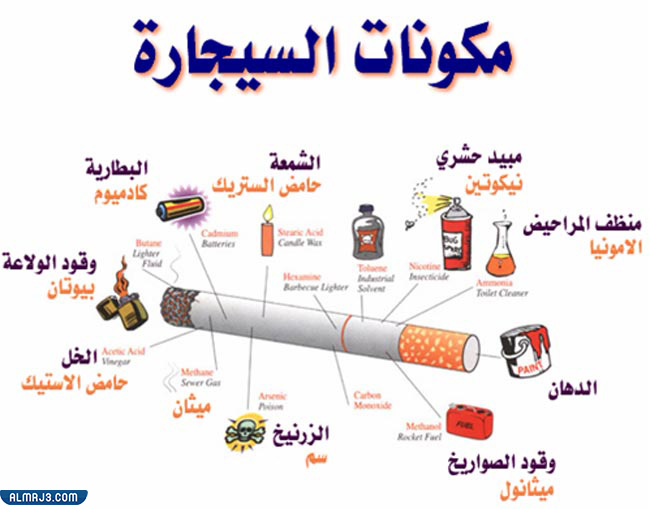 مطوية عن أضرار التدخين