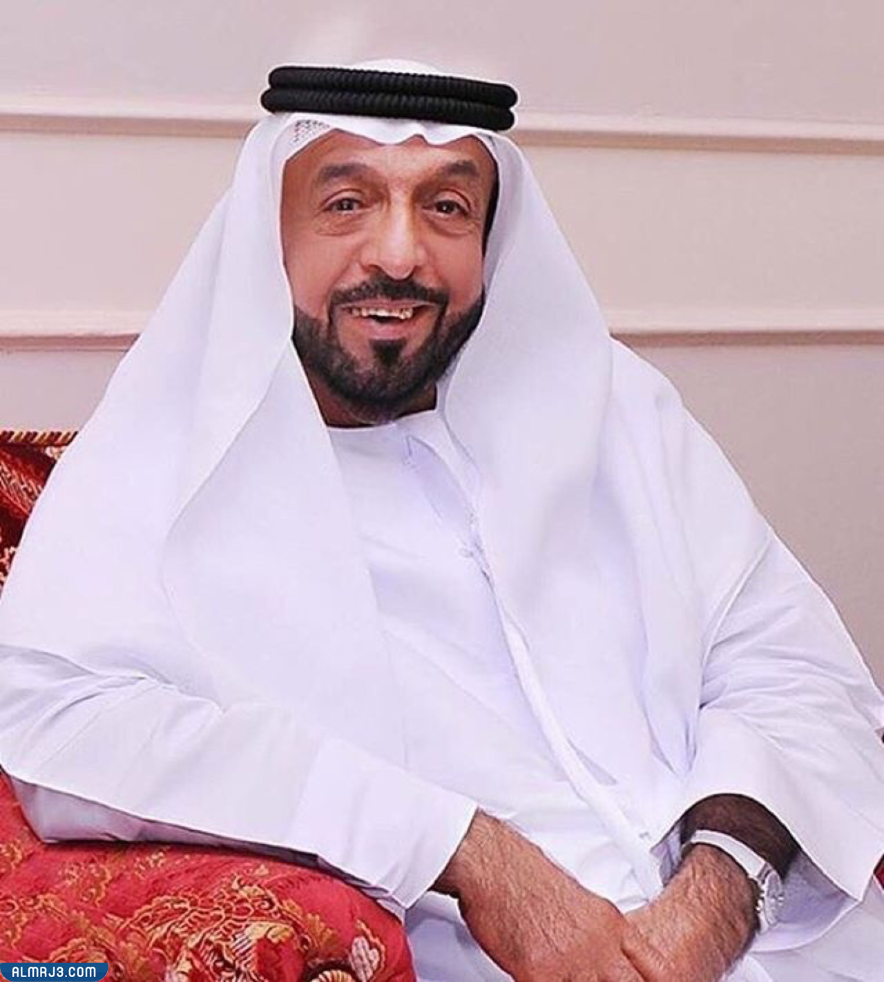 من هو خليفة بن زايد آل نهيان