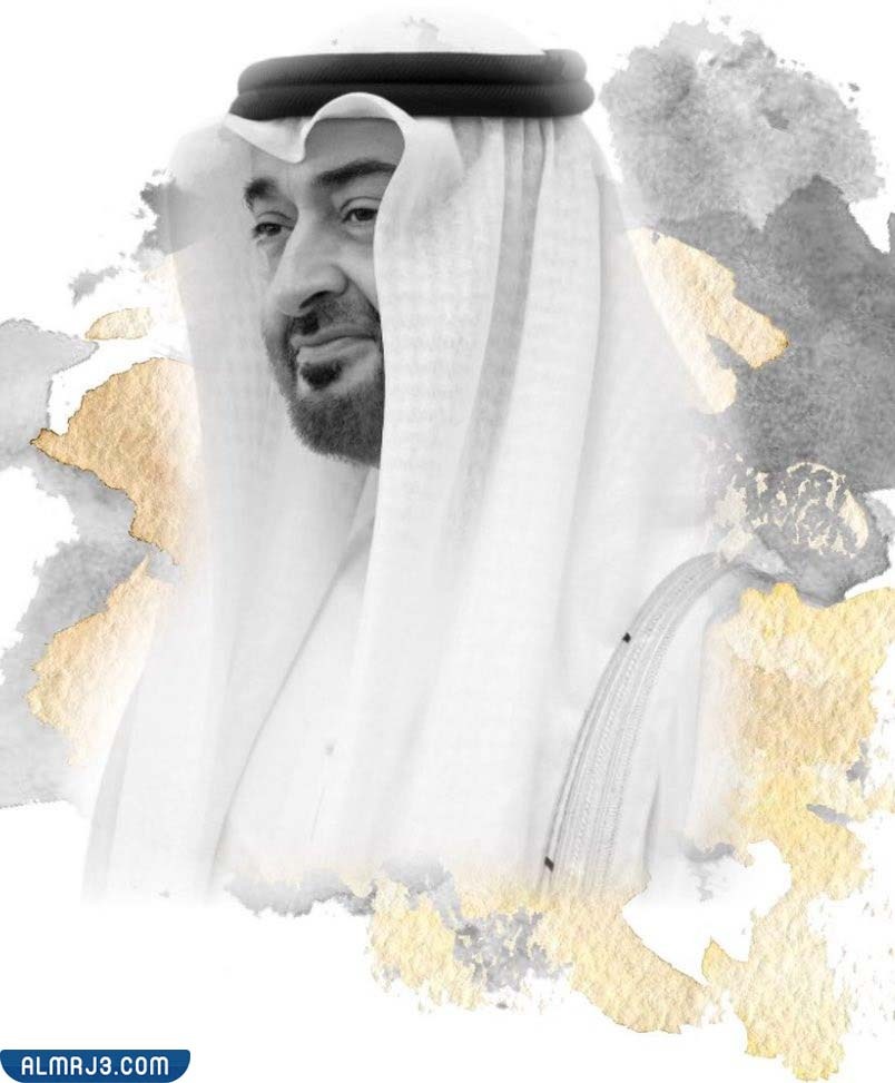 الشيخ محمد بن زايد ويكيبيديا