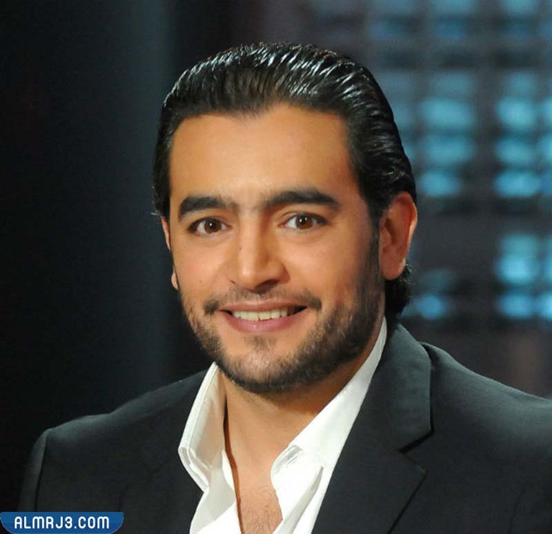 من هو هاني سلامة ويكيبيديا