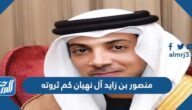 منصور بن زايد آل نهيان كم ثروته
