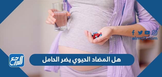 هل المضاد الحيوي يضر الحامل
