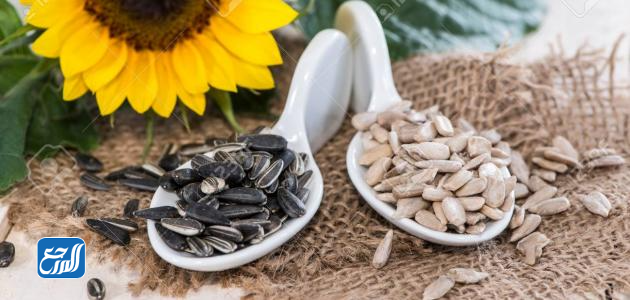 هل حب دوار الشمس يسمن