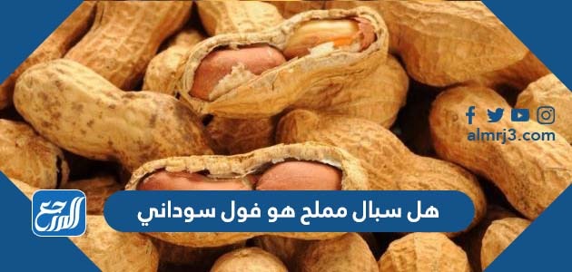 هل سبال مملح هو فول سوداني