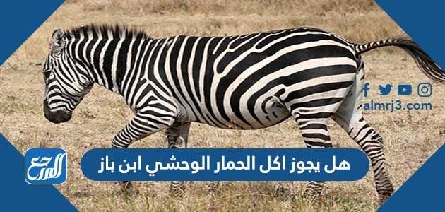 هل يجوز اكل الحمار الوحشي ابن باز