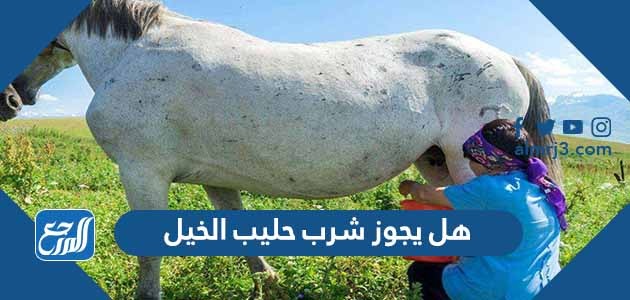 هل يجوز شرب حليب الخيل