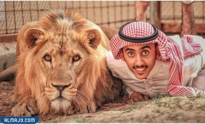 من هو اسامه الدغيري ويكيبيديا