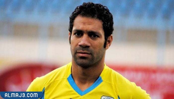 حسنى عبد ربه ويكيبيديا