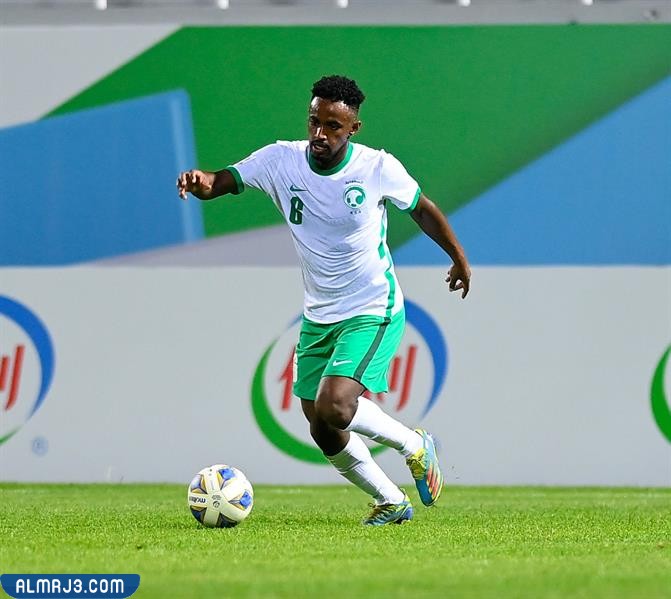 إبراهيم محنشي السيرة الذاتية