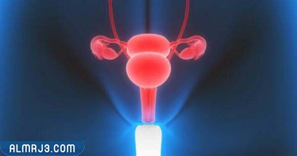 أنواع عمليات تجميل المهبل