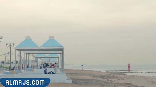 أين يقع شاطئ أنجفه بالكويت