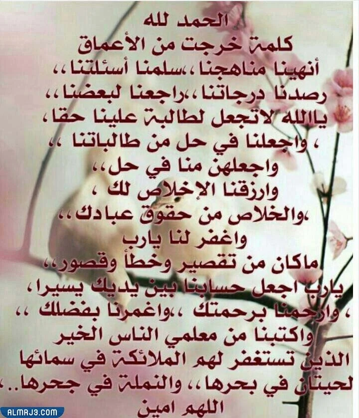 ابيات شعر عن نهاية العام الدراسي