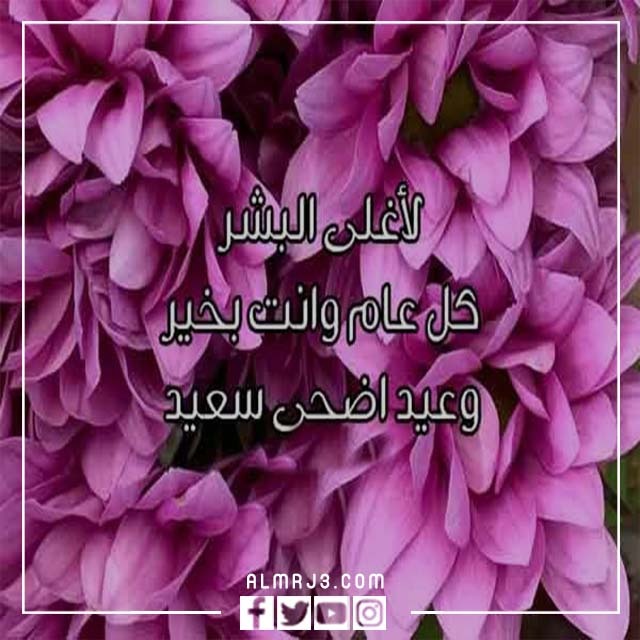 اجمل ما قيل في تهنئة عيد الاضحى