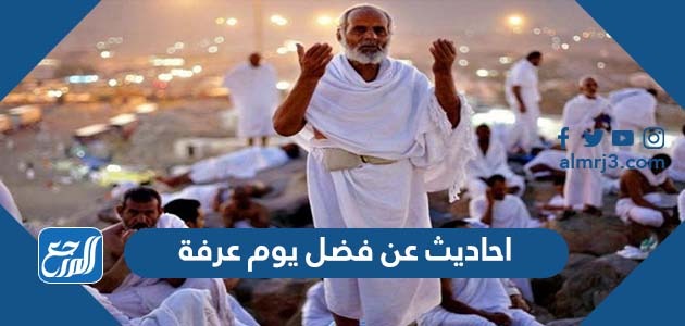 احاديث عن فضل يوم عرفة