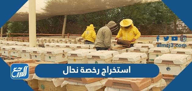 طريقة استخراج رخصة نحال عبر منصة زراعي 1448