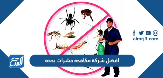 افضل شركة مكافحة حشرات بجدة