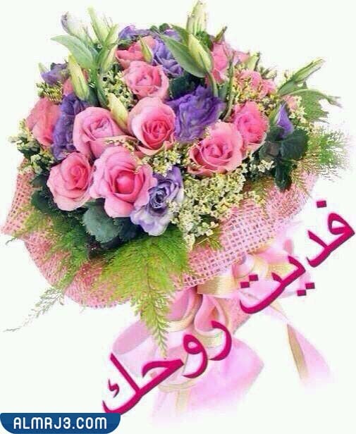 الرد على حي الله هالطلة صور