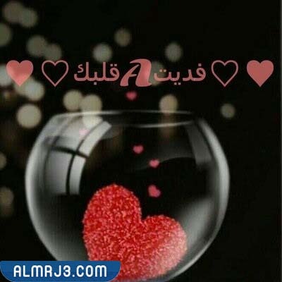 الرد على لبى قلبك وروحك بالصور