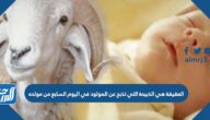 العقيقة هي الذبيحة التي تذبح عن المولود في اليوم السابع من مولده