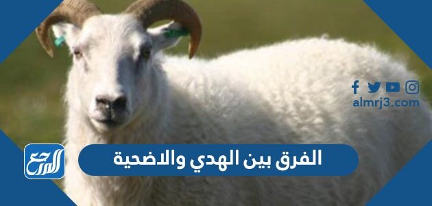 ما الفرق بين الهدي والاضحية