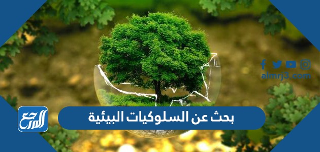 بحث عن السلوكيات البيئية