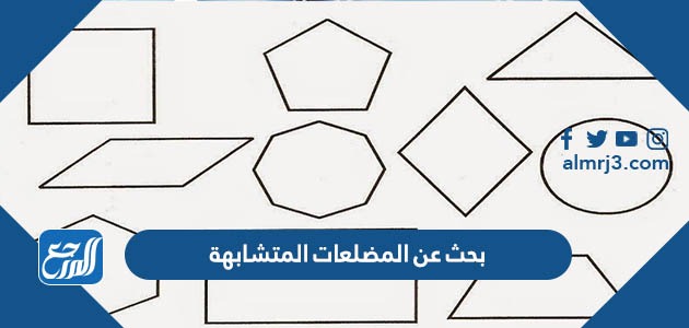 بحث عن المضلعات المتشابهة