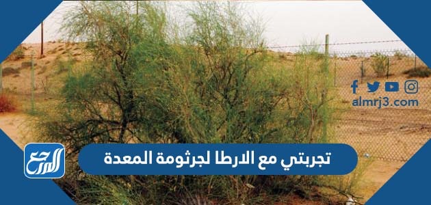 تجربتي مع الارطا لجرثومة المعدة