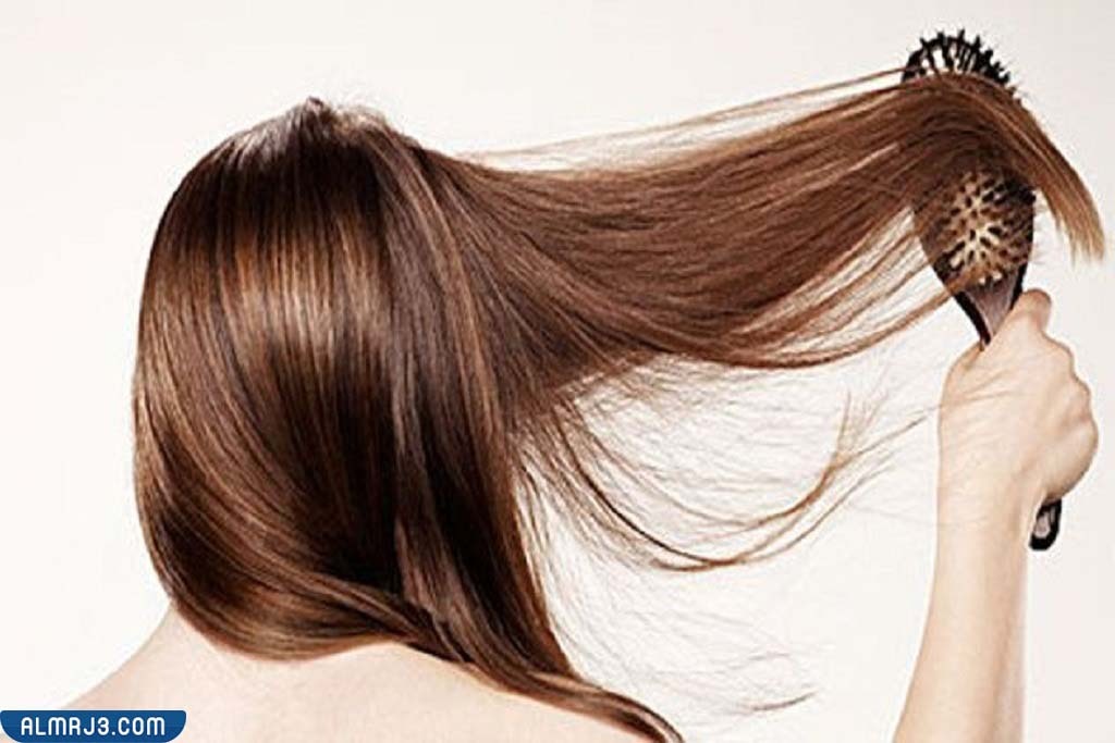 تجربتي مع الخل للشعر 1