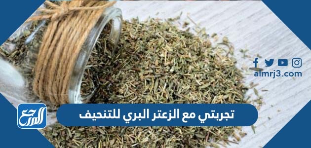 تجربتي مع الزعتر البري للتنحيف