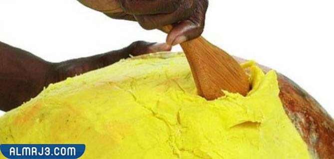 تجربتي مع زبدة الشيا الافريقية