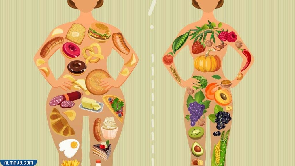 تجربتي مع نظام اتكنز وكم ينزل بالشهر