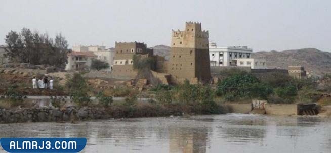 تندحة ويكيبيديا