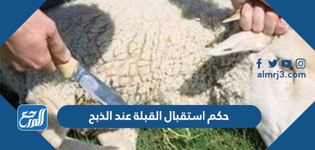 حكم استقبال القبلة عند الذبح