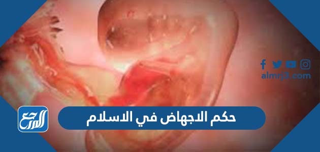 حكم الاجهاض في الاسلام