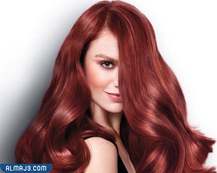 خلطات الشمندر والحناء للشعر