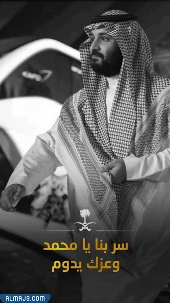 خلفيات ولي العهد محمد بن سلمان