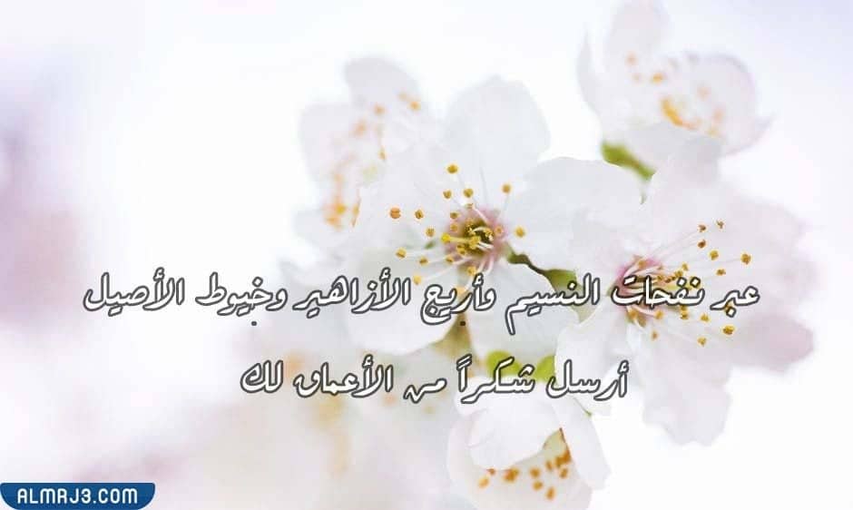 رسائل شكر وتقدير لقائدة المدرسة