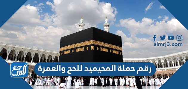 رقم حملة المحيميد للحج والعمرة