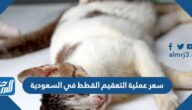 كم سعر عملية التعقيم القطط في السعودية